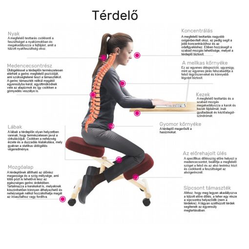Ergonomikus térdelőszék, fekete/bükkfa, GROCO